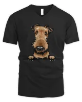 Men's V-Neck T-Shirt Men's V-Neck T-Shirt