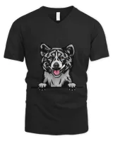 Men's V-Neck T-Shirt Men's V-Neck T-Shirt