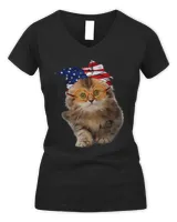 Women's V-Neck T-Shirt Women's V-Neck T-Shirt