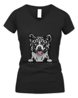 Women's V-Neck T-Shirt Women's V-Neck T-Shirt