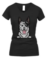 Women's V-Neck T-Shirt Women's V-Neck T-Shirt