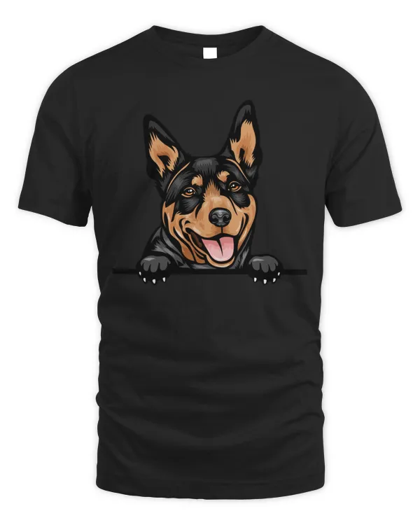 Animal Dog Australian Kelpie