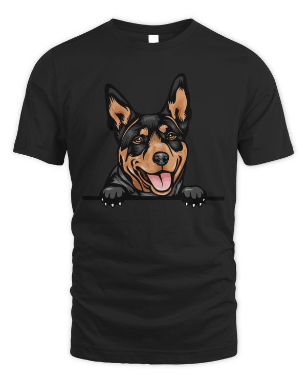 Animal Dog Australian Kelpie